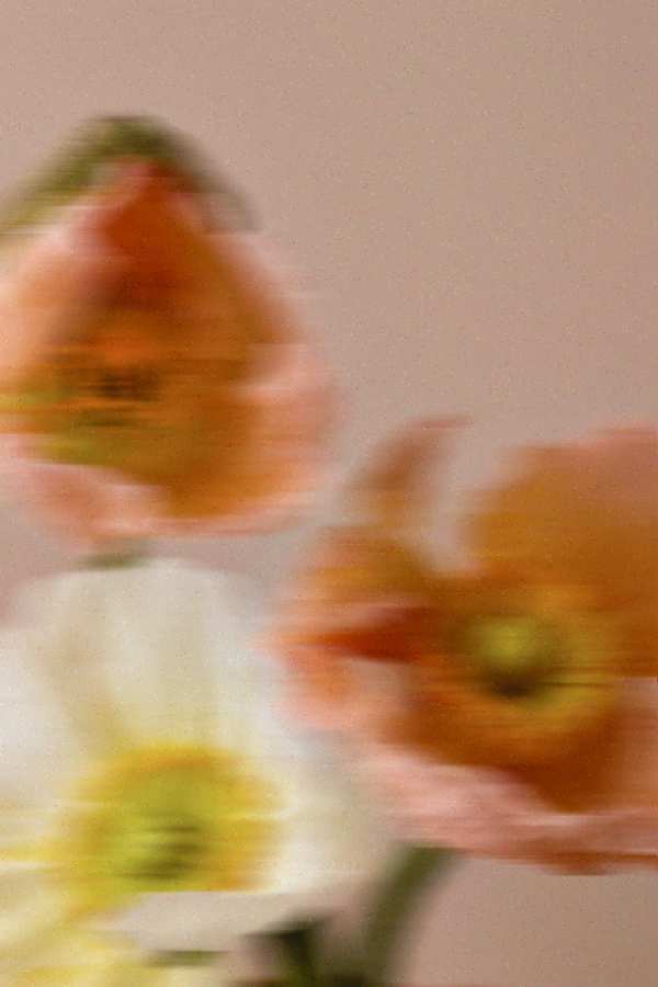 Luxe flowerbar voor bedrijfsfeest en merkactivatie